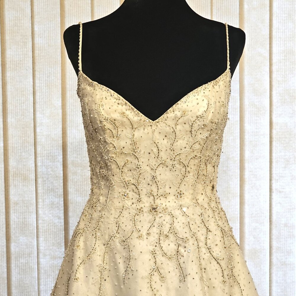 The Stephen Yearick Beaded Ivory Wedding Dress 6